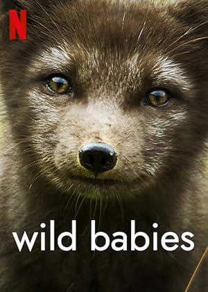 مسلسل Wild Babies الموسم الاول الحلقة 8 والاخيرة مترجمة