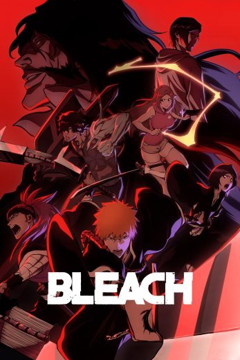 انمي Bleach الموسم الثاني الحلقة 13 مترجمة